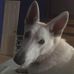 Profile Picture of Robert Cote (@robert.cote.731) on Facebook