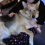 Profile Picture of Craig Hanson (@craighanson4182) on Youtube