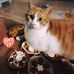 Profile Picture of Johanna VandenBerg (@johanna.vandenberg.16) on Facebook