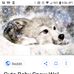 Profile Picture of Kenyan Mack (@kenyan.mack.39) on Facebook