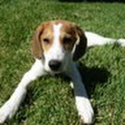 Profile Picture of David Xiang (@davidxiang28) on Youtube