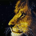 Profile Picture of Patch Joseph (@joseph.patch) on Instagram
