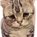 Profile Picture of ⛄️ (@tumericpowder) on Instagram