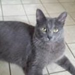 Profile Picture of Lori Schuster (@loriannschuster) on Instagram