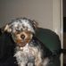 Profile Picture of Lyn Paul (@lyn.paul.520) on Facebook