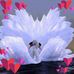 Profile Picture of Tina Dinh (@tina.dinh.3538) on Facebook