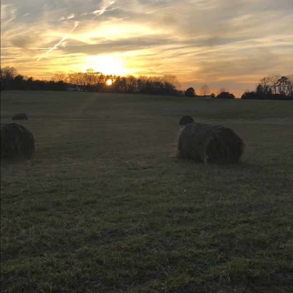 Profile Picture of Taylor Norburn (@taynorburn) on Poshmark