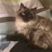 Profile Picture of Laurie McPhee (@laurie.mcphee.79) on Facebook