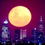 Profile Picture of Craig Sillitoe • Australia (@sillitoephotos) on Instagram