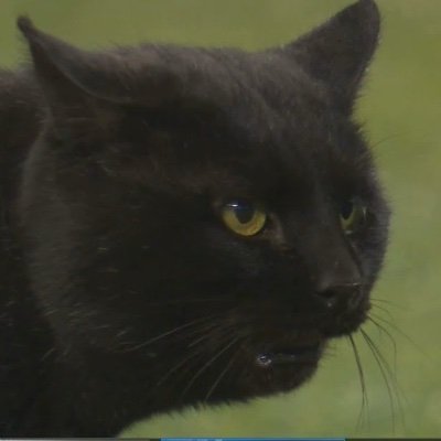 Profile Picture of Tyler Coon (@coon429) on Twitter