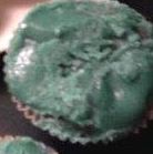 Profile Picture of Surya Alexander (@Surya-Alexander) on Facebook