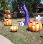 Profile Picture of Shannon McCully (@shannon.mccully.52) on Facebook