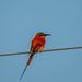 Profile Picture of Peter Bolink (@peterbolink) on Pinterest