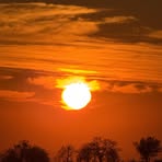 Reiley Michael - Facebook Profile Picture of Reiley Michael (@Reiley-Michael) on Facebook