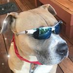 Profile Picture of John T. Furr (@john.t.furr) on Instagram
