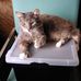 Profile Picture of Pearl Potts (@pearl.potts.773) on Facebook