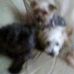 Profile Picture of Lorraine Kelleher (@lorraine.kelleher.3363) on Facebook