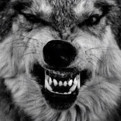 Profile Picture of Scott Raymond (@scottraymond1133) on Youtube