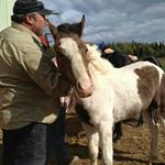 Profile Picture of Steven M Toney (@steven.m.toney) on Instagram