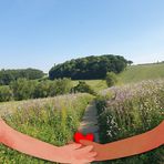 Profile Picture of Joanne O'Brien (@joanne.obrien.583) on Facebook