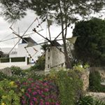 Profile Picture of Paulo Paulino Horta (@paulofernandopaulino) on Instagram