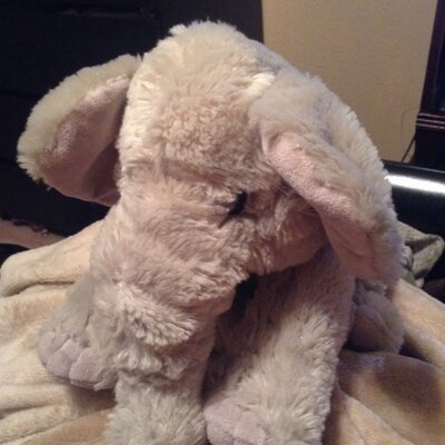 Profile Picture of Blake Pearce (@blakepearce22) on Twitter