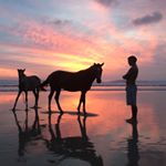 Profile Picture of 🌴Santa Teresa Beachfront🌴 (@santateresabeachfront) on Instagram