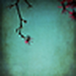 Profile Picture of A tree called life (@A tree called life) on Flickr