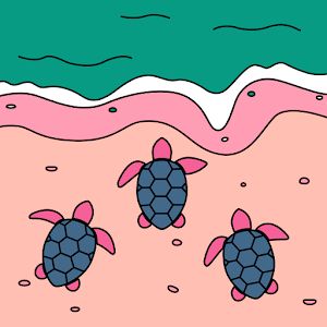 a.lineberry - Tiktok Profile Picture of a.lineberry (@a.lineberry) on Tiktok