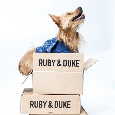 Profile Picture of Ruby & Duke (@rubyandduke) on Twitter