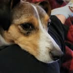 Profile Picture of Caleb Dillon (@Caleb-Dillon) on Facebook