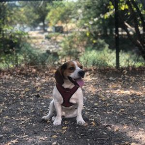 Profile Picture of Neil Dombrowski (@DombrowskiNeil) on Twitter