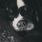 Profile Picture of Alice (@alice_hunter8768) on Instagram