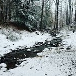 Profile Picture of Andrew Mattera (@bythebrookwoodworks) on Instagram