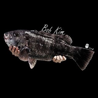 Profile Picture of Bob Kim (@bob.kim.75) on Facebook
