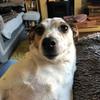 Profile Picture of Derek Ritchie (@@dekritch) on Tiktok
