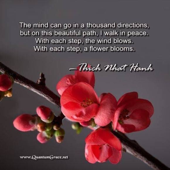 Profile Picture of Kim Fournier (@kimfournier) on Poshmark