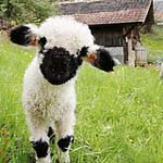 Profile Picture of EleanorKessler (@eleanorkesslerp) on Instagram