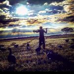 Profile Picture of Joe Vaughn (@midwestoutfitter) on Instagram