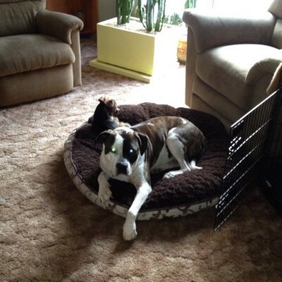 Profile Picture of Kenneth Gould (@Keg1911Gould) on Twitter