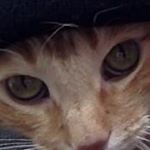 Profile Picture of Chris Sachs (@chris.a.sachs) on Instagram