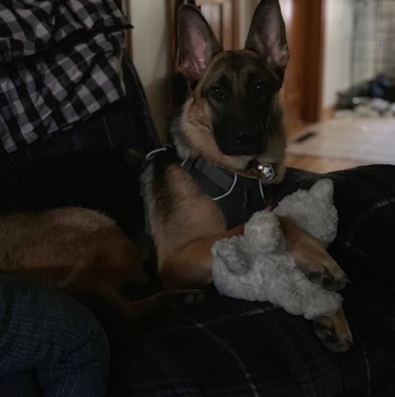 Profile Picture of Lucas Glennon (@kyha128) on Poshmark