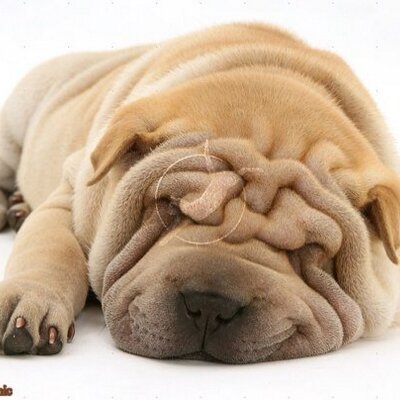 Profile Picture of Kate Batchelor (@k8batch86) on Twitter