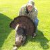Profile Picture of Mark Trumble (@mark.trumble.1671) on Facebook