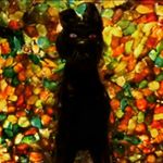 Profile Picture of Andrew Bishop (@andrew_bishop03) on Instagram