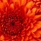 Profile Picture of Rauf Ahmed (@rauf.ahmed.77964) on Facebook