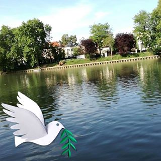 Profile Picture of Bernard Olivier (@bernard.olivier.98478) on Facebook