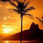 Profile Picture of Michael Hoflich (@michaelhoflich) on Instagram