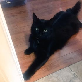 Esmeralda Luquin - Pinterest Profile Picture of Esmeralda Luquin (@eluquin6) on Pinterest