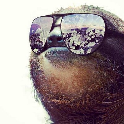 Profile Picture of Michael Halvorsen (@Mikeparkji11) on Twitter